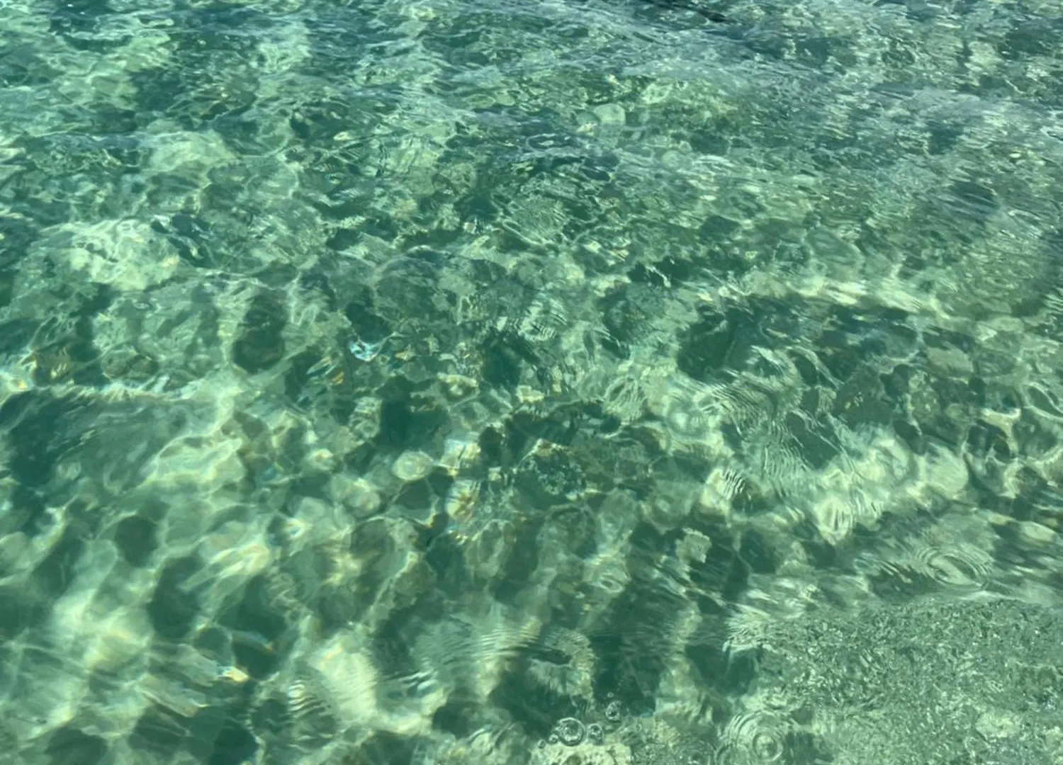 Ratiu Beach House White Sand Destin Miramar Beach الولايات المتحدة الأمريكية